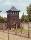 MIEJSCE PAMIĘCI i MUZEUM AUSCHWITZ-BIRKENAU